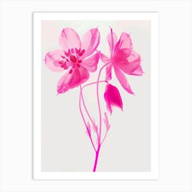 Hot Pink Columbine 1 Art Print