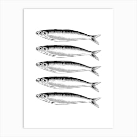 Sardines Isolated On White Art Print