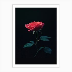 Rose On A Black Background 12 Art Print