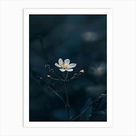 Dark Flower 24 Art Print