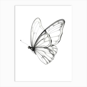 Butterfly Drawing Art Print