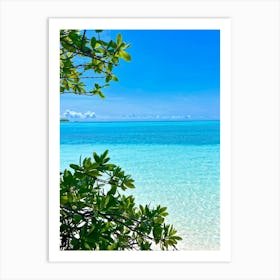 Relax Ocean Plant Idylli Holiday Coastline Beautiful Calm Shore Blue Paradise Sunlight N (32) Art Print