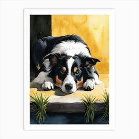 Border Collie Art Print