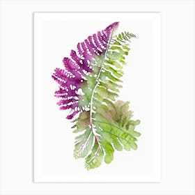 Grape Fern Wildflower Watercolour 2 Art Print