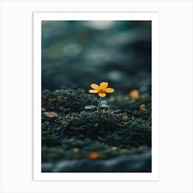 Yellow Flower In Moss Art Print