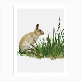 Rabbit In Grass Art Print