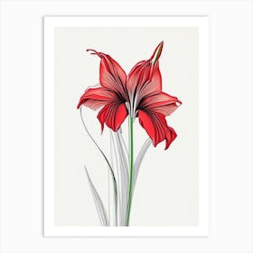 Amaryllis Floral Minimal Line Drawing 2 Flower Art Print