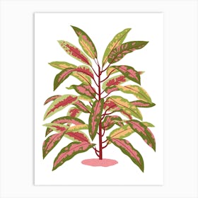 Colourful Croton Plant Art Print