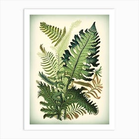 New York Fern Wildflower Vintage Botanical Art Print