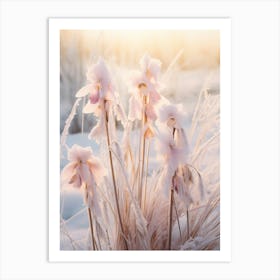 Frosty Botanical Orchid 4 Art Print