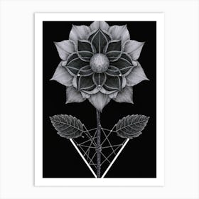 Flower 1 Art Print