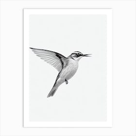 Lark B&W Pencil Drawing 1 Bird Art Print