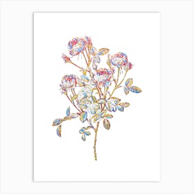 Stained Glass Burgundian Rose Mosaic Botanical Illustration on White n.0300 Art Print