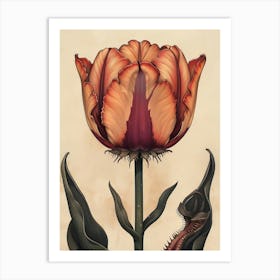 Floral Art 0008 Flower Single 0012 Fine Flowers 0006 Bp6586 An Old School Botanic Detailed Drawing Of A Carnivorou 763cd Art Print