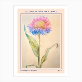 Everlasting Flower French Flower Botanical Poster Art Print