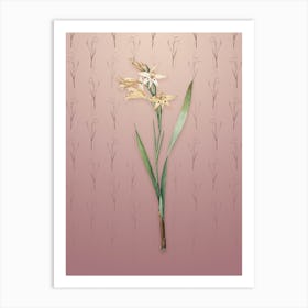 Vintage Gladiolus Cuspidatus Botanical on Dusty Pink Pattern n.2425 Art Print