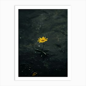 Single Yellow Flower In Water 3 Art Print