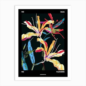 No Rain No Flowers Poster Kangaroo Paw 2 Art Print