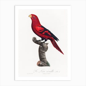 The Violet Necked Lory From Natural History Of Parrots, Francois Levaillant Art Print