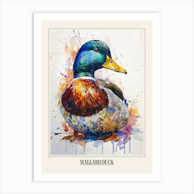 Mallard Duck Colourful Watercolour 3 Poster Art Print