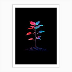 Plant In The Dark 43 Art Print