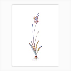 Stained Glass Mossel Bay Tritonia Mosaic Botanical Illustration on White n.0201 Art Print