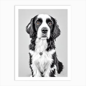 Boykin Spaniel B&W Pencil Dog Art Print