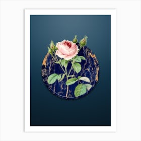 Vintage Rosa Indica Botanical in Gilded Marble on Dusk Blue Art Print