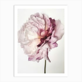 2024 May Poster Watercolour Peony Art Print