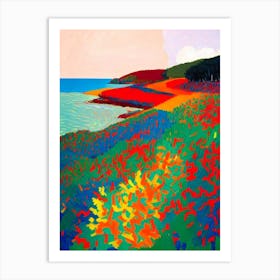 Scotts Head Beach, Australia Hockney Style Art Print