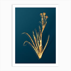Vintage Bermudiana Botanical in Gold on Teal Blue Art Print