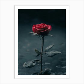 Dark Rose 1 Art Print