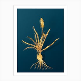 Vintage Muscari Ambrosiacum Botanical in Gold on Teal Blue n.0322 Art Print