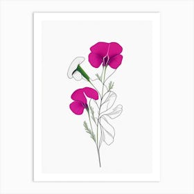 Sweet Pea Floral Minimal Line Drawing 2 Flower Art Print