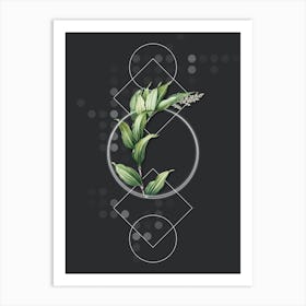 Vintage Treacleberry Botanical with Geometric Line Motif and Dot Pattern n.0105 Art Print