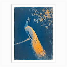 Orange & Blue Peacock Cyanotype Inspired 1 Art Print