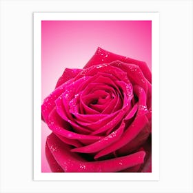 Pink Rose With Water Droplets Art Print