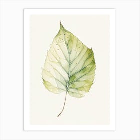 Slippery Elm Leaf Minimalist Watercolour 2 Art Print