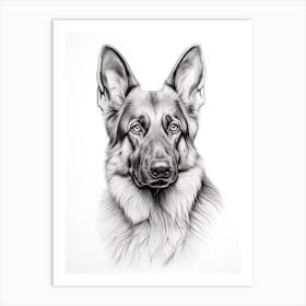 German Shepherd Dog, Line Drawing 3 Art Print