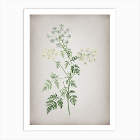 Vintage Hemlock Flowers Botanical on Parchment n.0508 Art Print