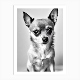 Chihuahua B&W Pencil Dog Art Print