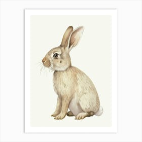 American Sable Rabbit Kids Illustration 4 Art Print