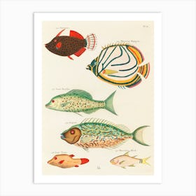 Colourful And Surreal Illustrations Of Fishes Found In Moluccas (Indonesia) And The East Indies, Louis Renard(34) Art Print