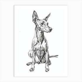 Pharaoh Hound Dog Line Sketch 1 Art Print