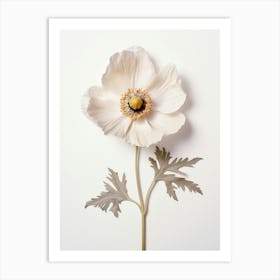 Pressed Flower Botanical Art Anemone 1 Art Print