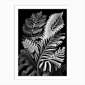 Shield Fern Wildflower Linocut 1 Art Print