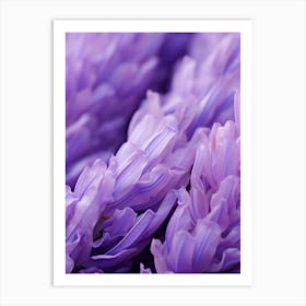 Close Up Of Purple Flowers Art Print