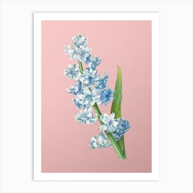Vintage Oriental Hyacinth Botanical on Soft Pink Art Print