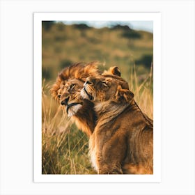 Lions In The Grass Art Print