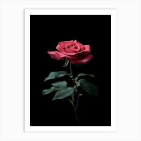 Single Rose On Black Background 54 Art Print